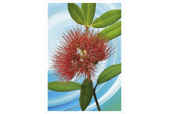 Pohutukawa Flower: Card