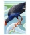 Wading Pukeko: Card