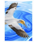 Soaring Gannet: Card