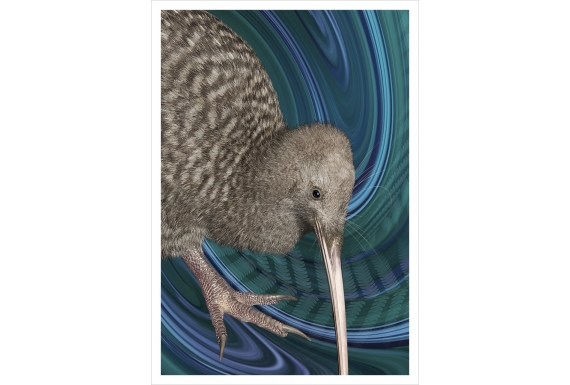 Great Spotted Kiwi: Card