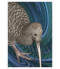 Great Spotted Kiwi: Card