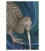 Great Spotted Kiwi: Card
