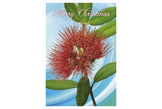 Pohutukawa Flower (Merry Christmas): Card