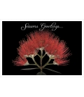 Pohutukawa Flower (Seasons Greetings): Card