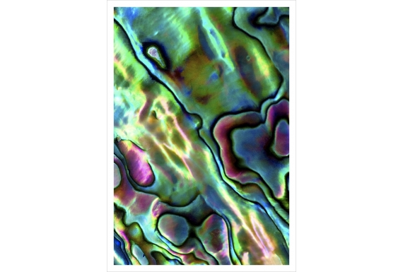 Paua Patterns 2: Card