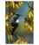 Tui in Kowhai, Point Wells: Card