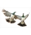 Kereru Couple in Flight: Card