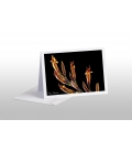Flax Flowers: Card