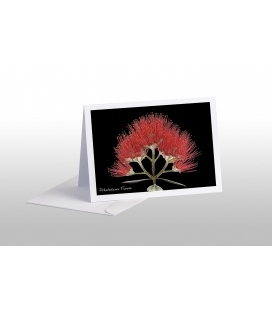 Pohutukawa Flower: Card