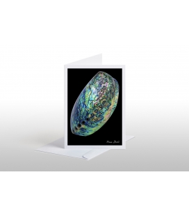 Paua Shell: Card