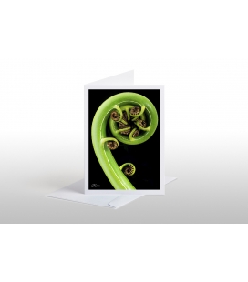 Koru: Card