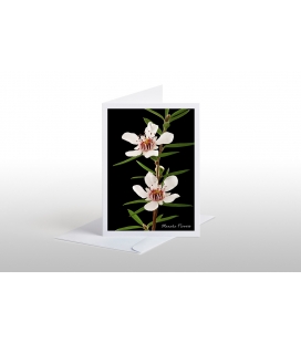 Manuka Flowers: Card