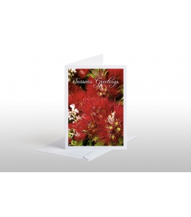 Pohutukawa (Seasons Greetings): Card