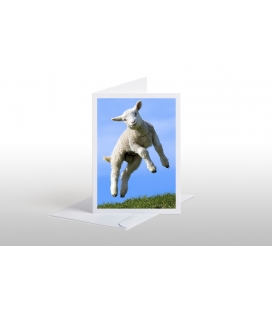 Leaping Lamb: Card
