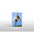 Leaping Lamb: Card