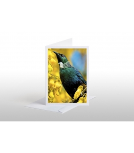 Tui in Kowhai Tree: Card