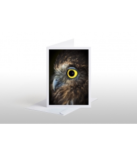 Ruru (Morepork), NZ Native Owl: Card