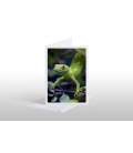 NZ Green Gecko: Card