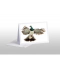 Kereru, Caught in Flight: Card