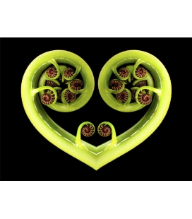 Koru Heart