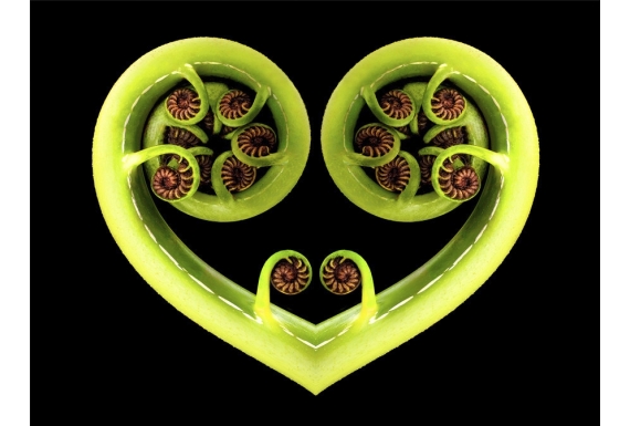Koru Heart
