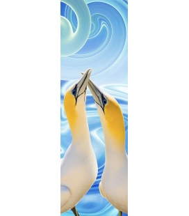 Gannet Couple