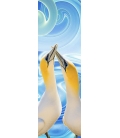Gannet Couple