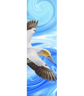 Soaring Gannet