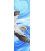 Soaring Gannet