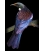 Tui on a Flax Stem - ONE ONLY
