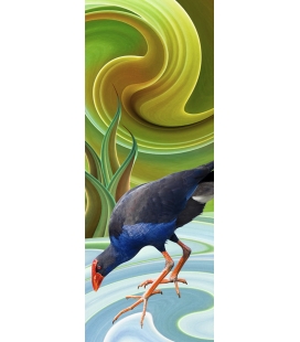 Wading Pukeko