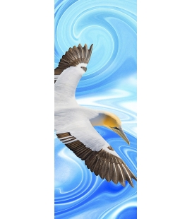 Soaring Gannet
