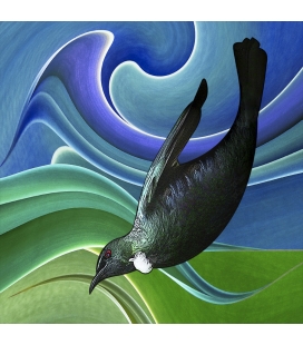 Tui in Flight