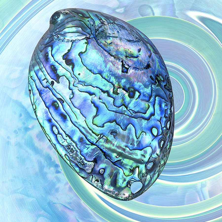 Paua Shell Wayfarer Images