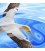Soaring Gannet