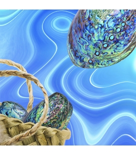 Paua and Kete: Canvas Print