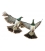 Kereru Couple in Flight