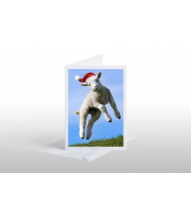 Leaping Lamb: Card