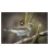 Grey Warbler, Riroriro: Card
