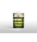 Quail on Gate: Card