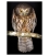 Morepork (Ruru) with Weta: Card