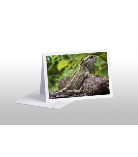 Basking Tuatara: Card