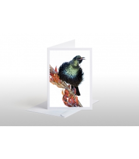Singing Tui: Card