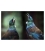 Tui Duet: Card