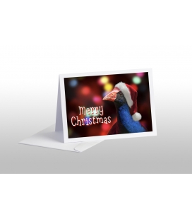 Party Pukeko: Card