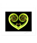 Koru Heart: 6x8 Matted Print