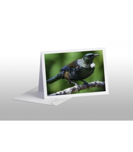 Classic Tui: Card