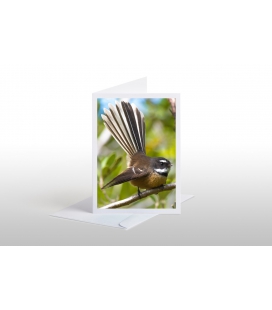 Perching Fantail: Card