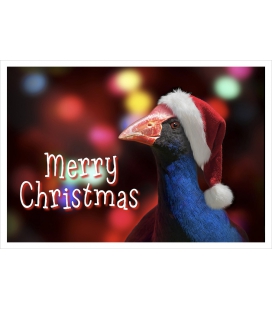 Party Pukeko: Card