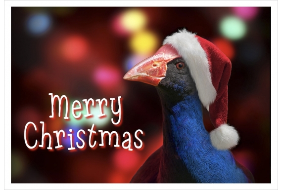 Party Pukeko: Card